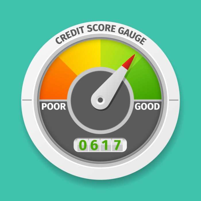 Credit score improvement